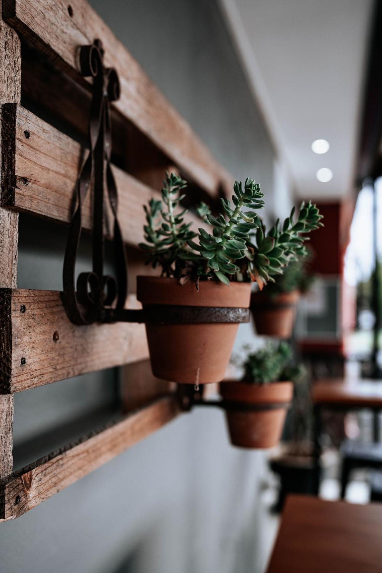 High Street Motor Inn Stanthorpe Ngoại thất bức ảnh